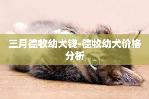 三月德牧幼犬錢-德牧幼犬價格分析