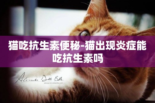 貓吃抗生素便秘-貓出現炎癥能吃抗生素嗎