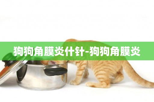 狗狗角膜炎什針-狗狗角膜炎