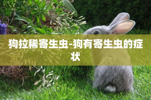 狗拉稀寄生蟲-狗有寄生蟲的癥狀