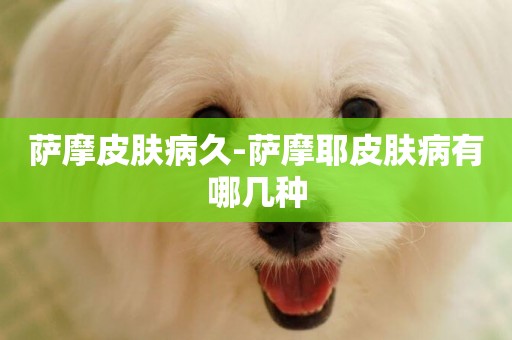 薩摩皮膚病久-薩摩耶皮膚病有哪幾種