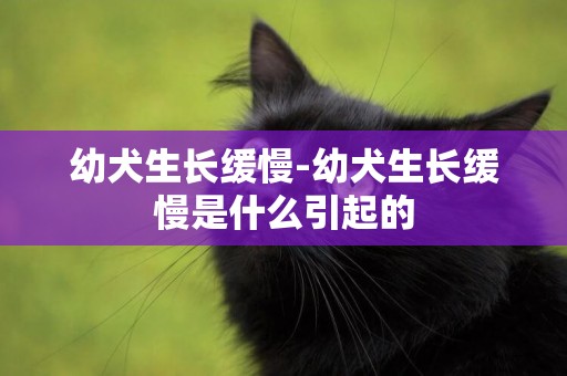幼犬生長緩慢-幼犬生長緩慢是什么引起的