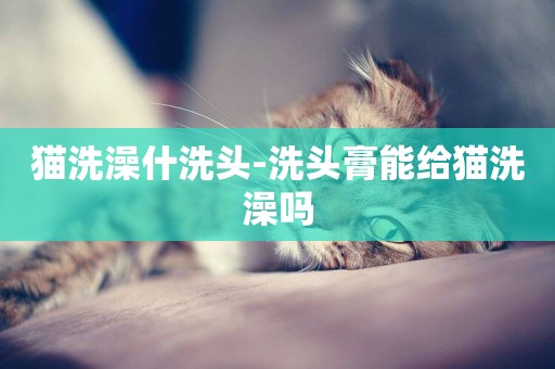 貓洗澡什洗頭-洗頭膏能給貓洗澡嗎