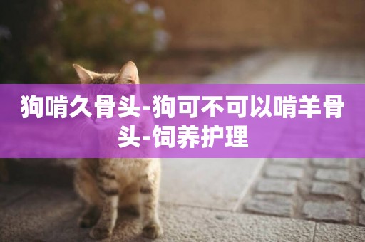 狗啃久骨頭-狗可不可以啃羊骨頭-飼養護理