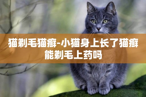 貓剃毛貓癬-小貓身上長了貓癬能剃毛上藥嗎