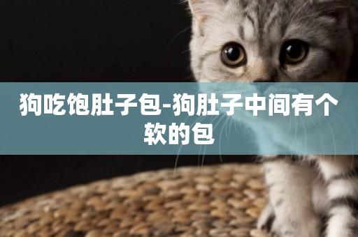 狗吃飽肚子包-狗肚子中間有個軟的包