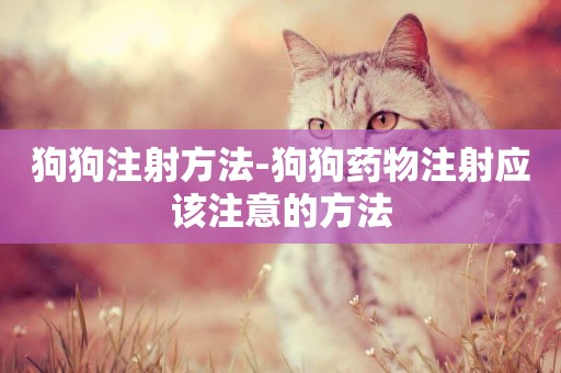 狗狗注射方法-狗狗藥物注射應該注意的方法