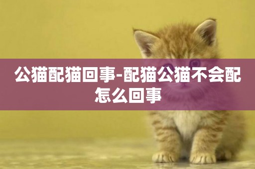 公貓配貓回事-配貓公貓不會配怎么回事