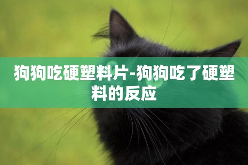 狗狗吃硬塑料片-狗狗吃了硬塑料的反應