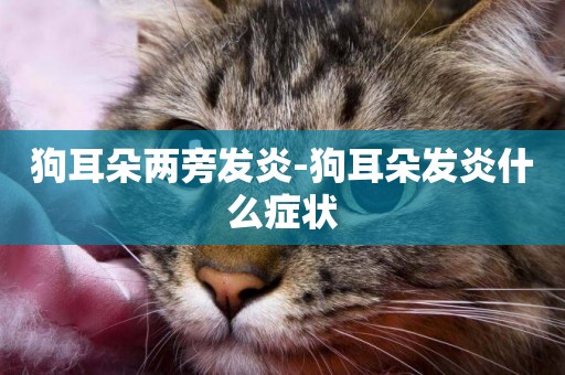 狗耳朵兩旁發炎-狗耳朵發炎什么癥狀