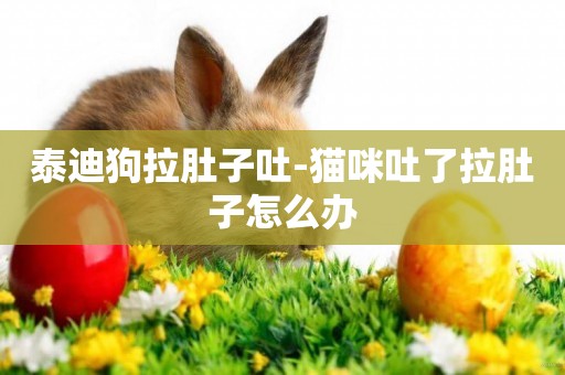 泰迪狗拉肚子吐-貓咪吐了拉肚子怎么辦