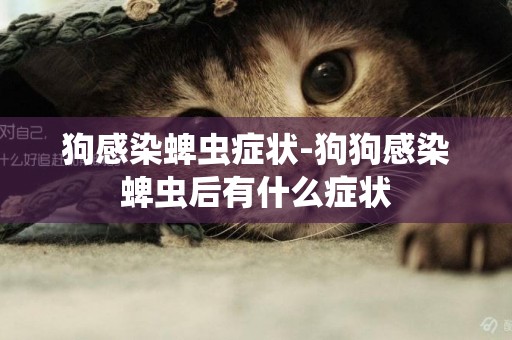 狗感染蜱蟲癥狀-狗狗感染蜱蟲后有什么癥狀