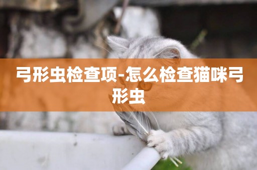 弓形蟲檢查項-怎么檢查貓咪弓形蟲