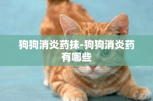 狗狗消炎藥抹-狗狗消炎藥有哪些