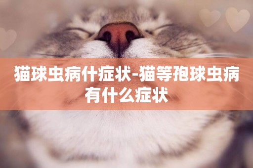 貓球蟲病什癥狀-貓等孢球蟲病有什么癥狀