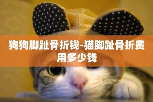 狗狗腳趾骨折錢-貓腳趾骨折費用多少錢