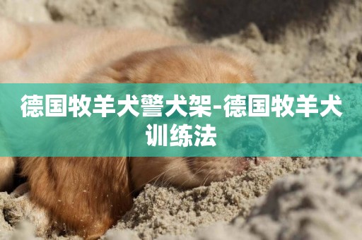 德國牧羊犬警犬架-德國牧羊犬訓練法