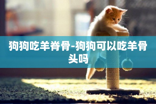 狗狗吃羊脊骨-狗狗可以吃羊骨頭嗎