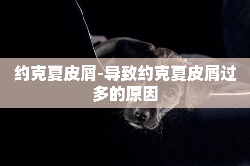 約克夏皮屑-導致約克夏皮屑過多的原因