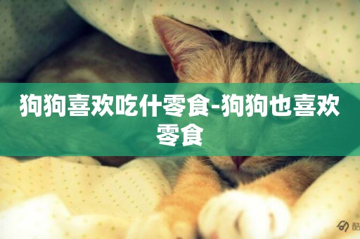 狗狗喜歡吃什零食-狗狗也喜歡零食