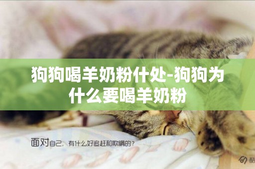 狗狗喝羊奶粉什處-狗狗為什么要喝羊奶粉