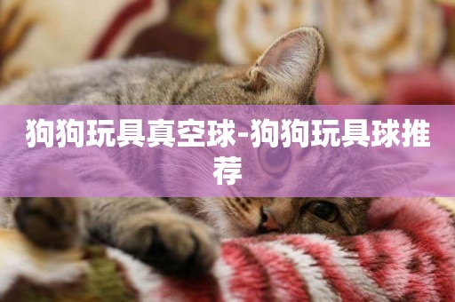 狗狗玩具真空球-狗狗玩具球推薦