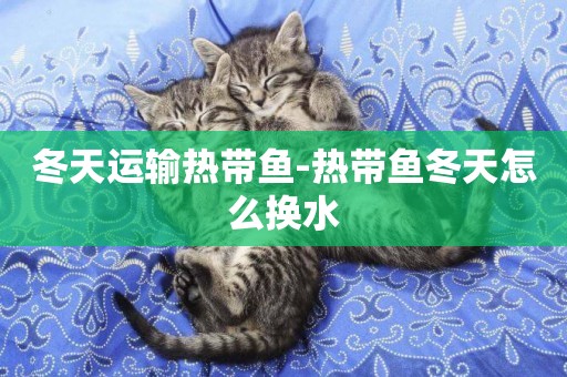 冬天運輸熱帶魚-熱帶魚冬天怎么換水