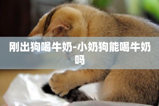 剛出狗喝牛奶-小奶狗能喝牛奶嗎