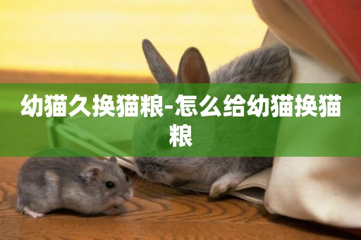 幼貓久換貓糧-怎么給幼貓換貓糧