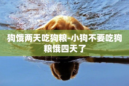狗餓兩天吃狗糧-小狗不要吃狗糧餓四天了