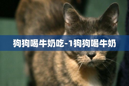 狗狗喝牛奶吃-1狗狗喝牛奶