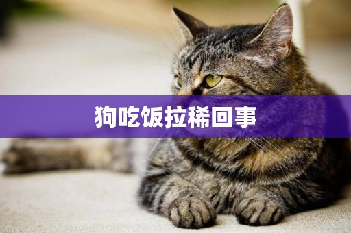 狗吃飯拉稀回事