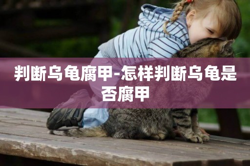 判斷烏龜腐甲-怎樣判斷烏龜是否腐甲