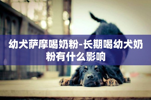 幼犬薩摩喝奶粉-長期喝幼犬奶粉有什么影響