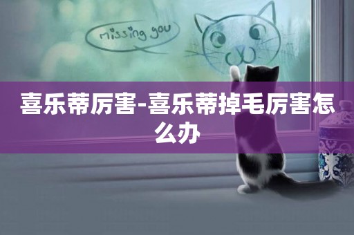 喜樂蒂厲害-喜樂蒂掉毛厲害怎么辦