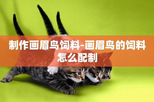 制作畫眉鳥飼料-畫眉鳥的飼料怎么配制
