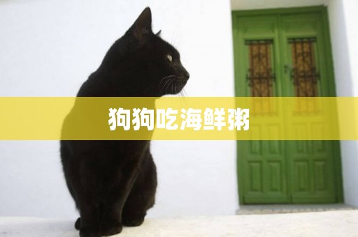 狗狗吃海鮮粥