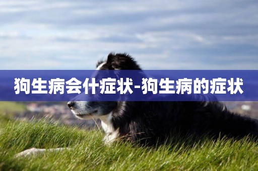 狗生病會什癥狀-狗生病的癥狀
