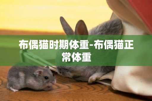 布偶貓時期體重-布偶貓正常體重
