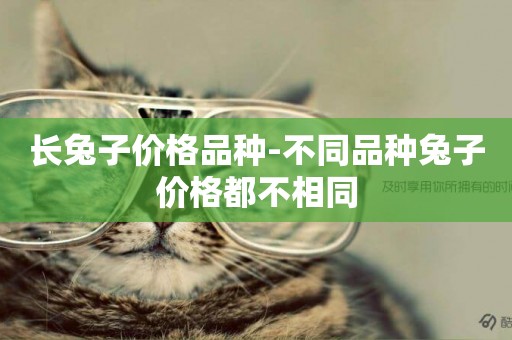長兔子價格品種-不同品種兔子價格都不相同
