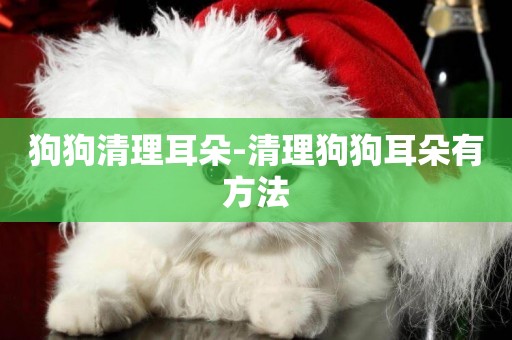 狗狗清理耳朵-清理狗狗耳朵有方法