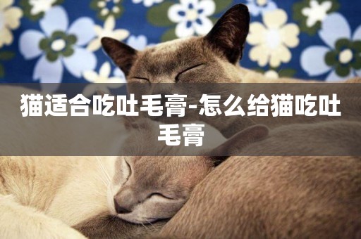貓適合吃吐毛膏-怎么給貓吃吐毛膏
