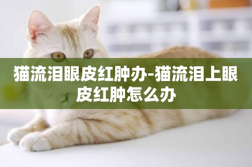 貓流淚眼皮紅腫辦-貓流淚上眼皮紅腫怎么辦