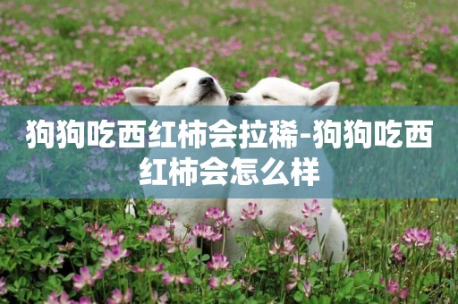 狗狗吃西紅柿會拉稀-狗狗吃西紅柿會怎么樣