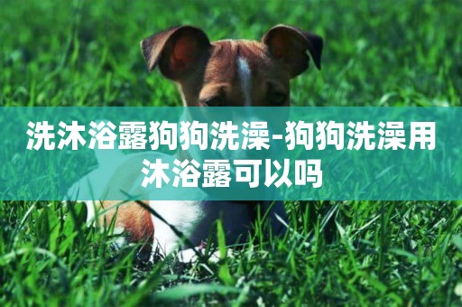 洗沐浴露狗狗洗澡-狗狗洗澡用沐浴露可以嗎