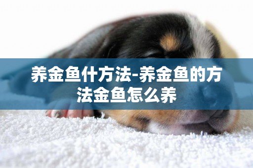 養金魚什方法-養金魚的方法金魚怎么養