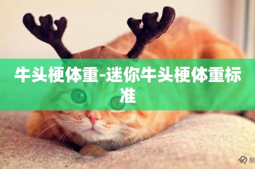 牛頭梗體重-迷你牛頭梗體重標準