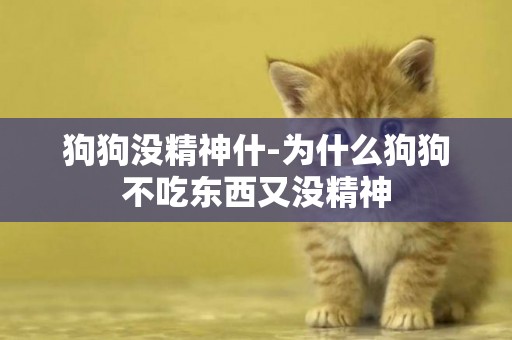 狗狗沒精神什-為什么狗狗不吃東西又沒精神