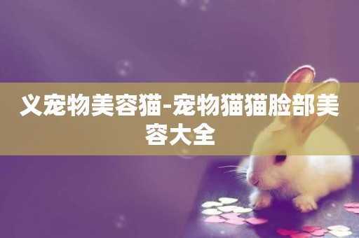 義寵物美容貓-寵物貓貓臉部美容大全