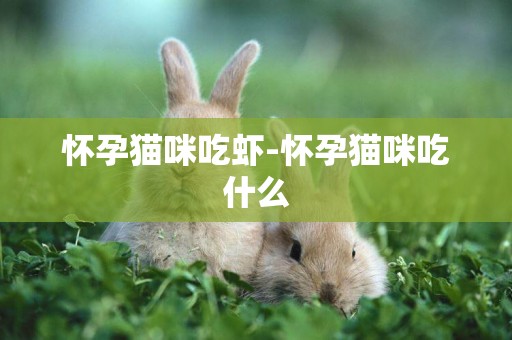 懷孕貓咪吃蝦-懷孕貓咪吃什么